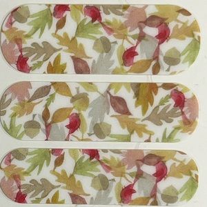 Jamberry Nail wraps In the Air autum leaves style